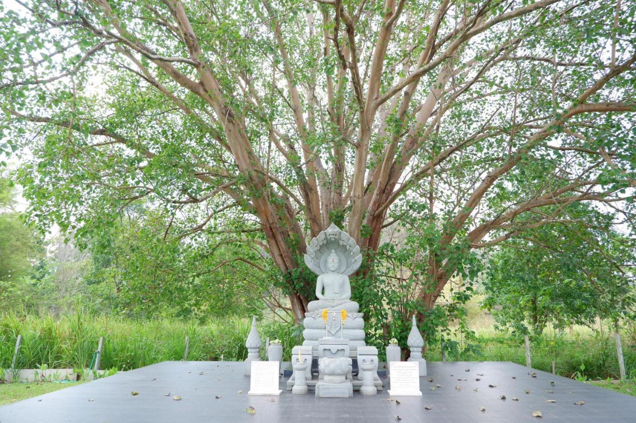 ทิพย์วาริน รีสอร์ท เขาใหญ่ Ban Tha Chang Exterior photo